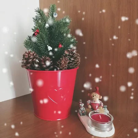 Liz House Кальтаджироне