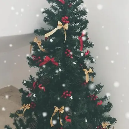 Апартаменты Liz House